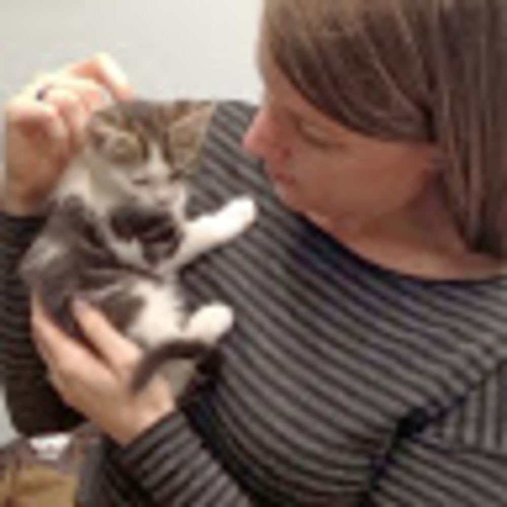 Meet your Posher, Jennie